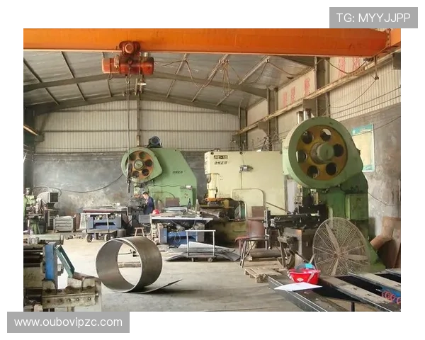 欧博官方登录网址官方入口指南,详细介绍登录步骤与注意事项